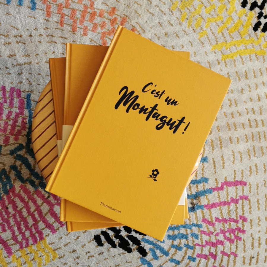 C'est un Montagut - le livre