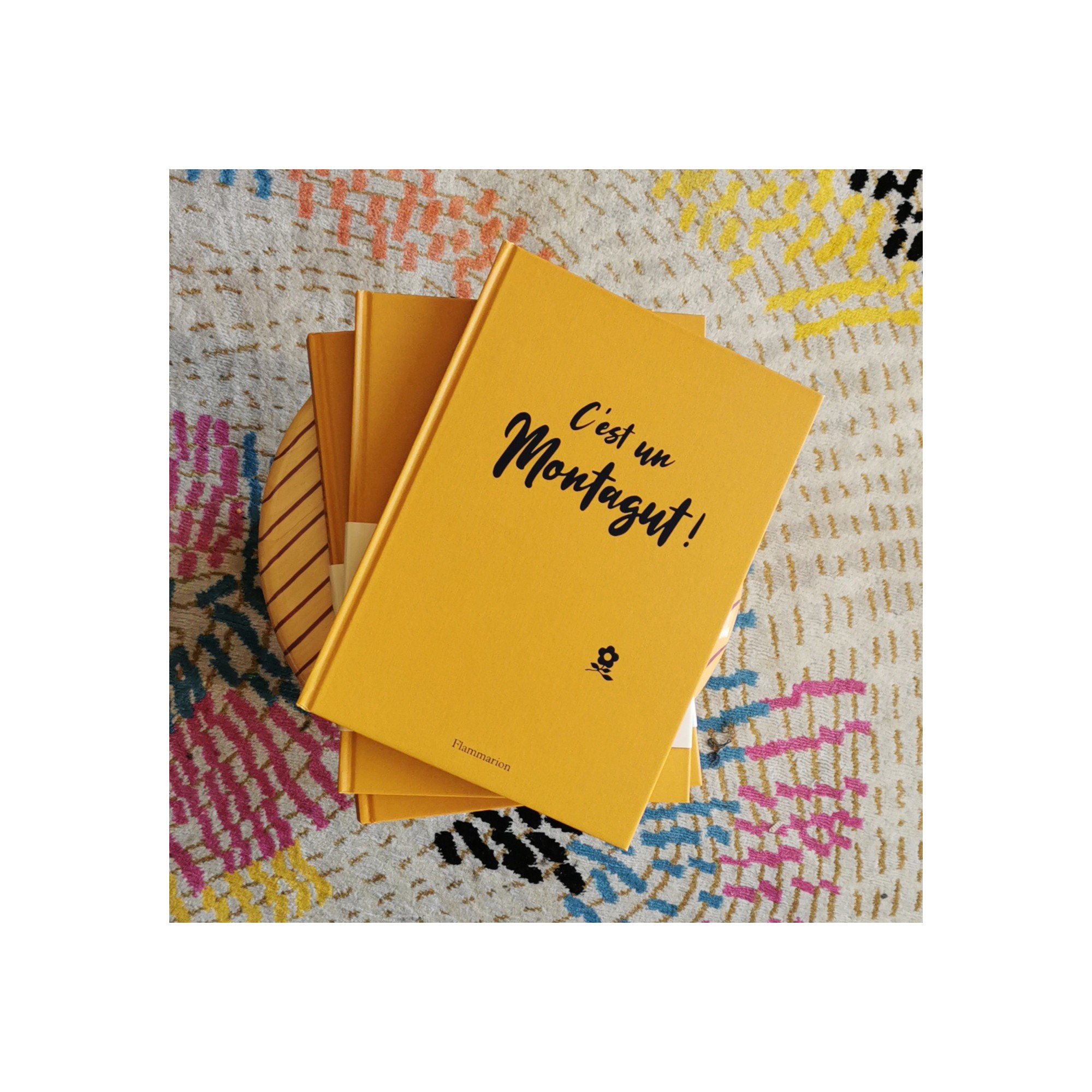 c'est un Montagut- Le Livre VF