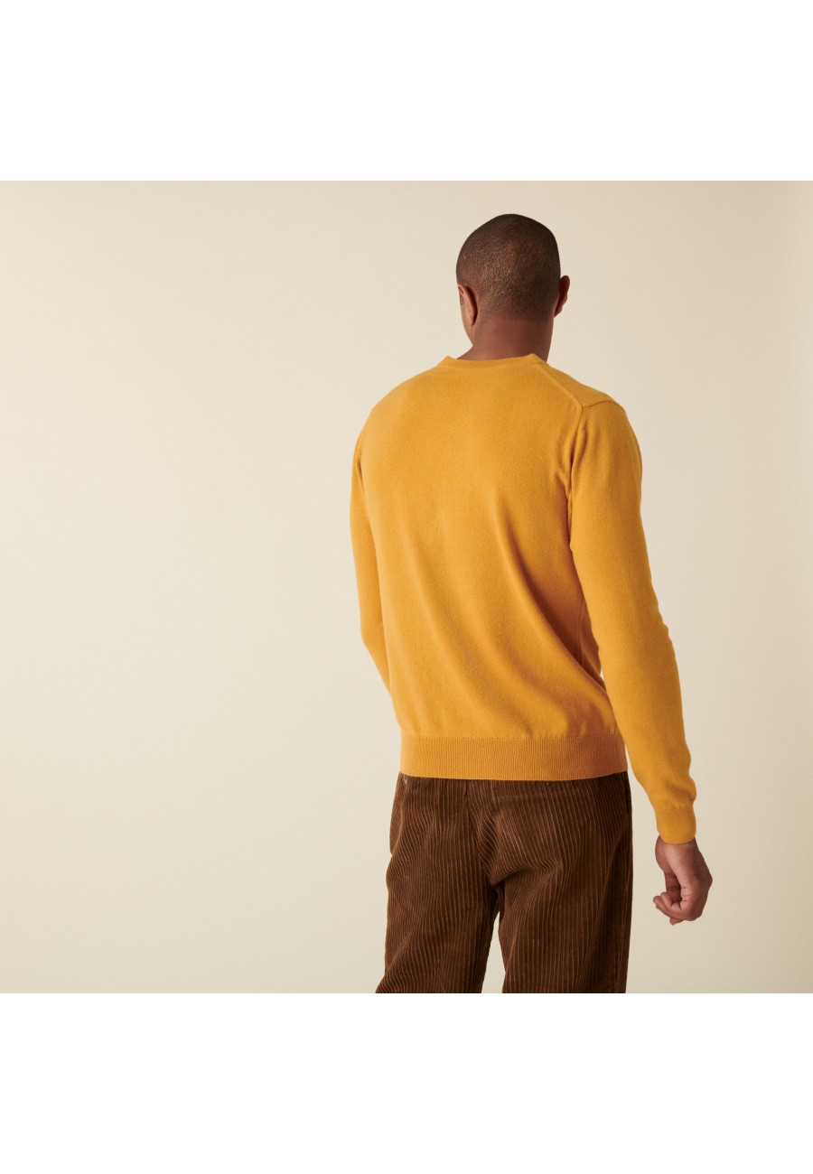 Cashmere V-neck sweater - Evann