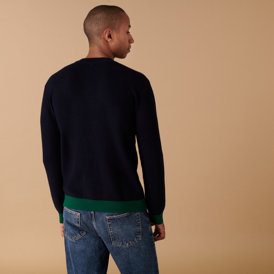 Pull col rond bicolore en laine mérinos - Adrien
