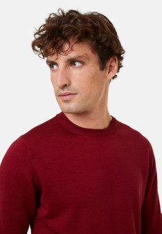 Crew neck sweater with logo in merino wool - Eddie