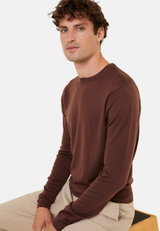 Crew neck sweater with logo in merino wool - Eddie
