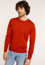 Crew neck sweater with logo in merino wool - Eddie