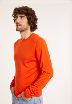 Crew neck sweater with logo in merino wool - Eddie