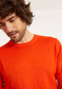 Crew neck sweater with logo in merino wool - Eddie