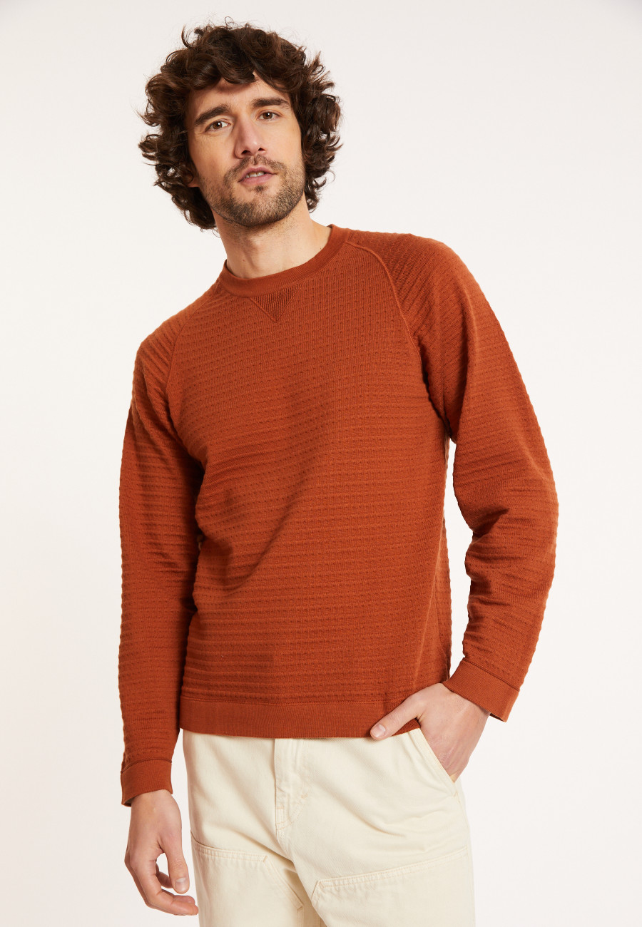 Pull coton manches raglan - Dwight