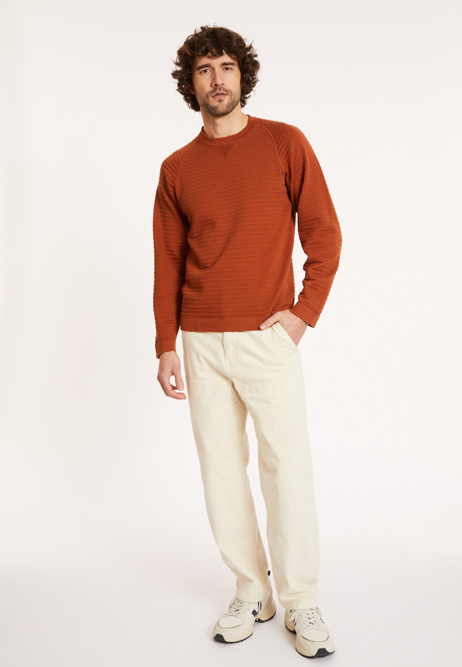 Raglan sleeve cotton sweater - Dwight