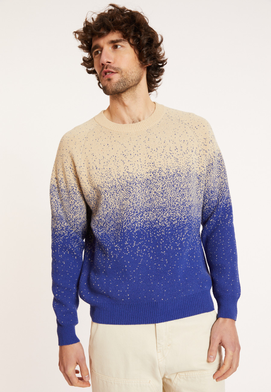 Pull bicolore en coton brossé - Doryan