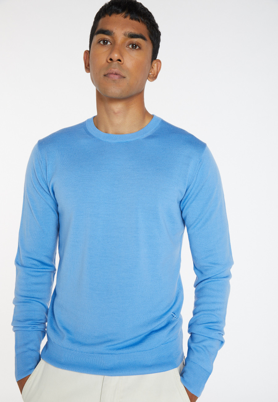 Crew neck sweater with logo in merino wool - Eddie