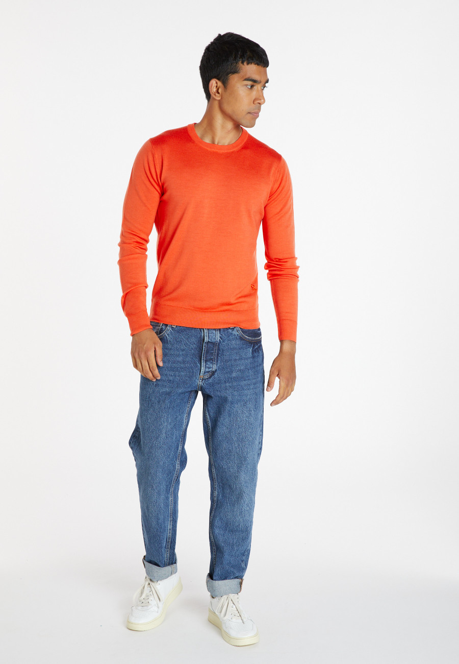 Crew neck sweater with logo in merino wool - Eddie