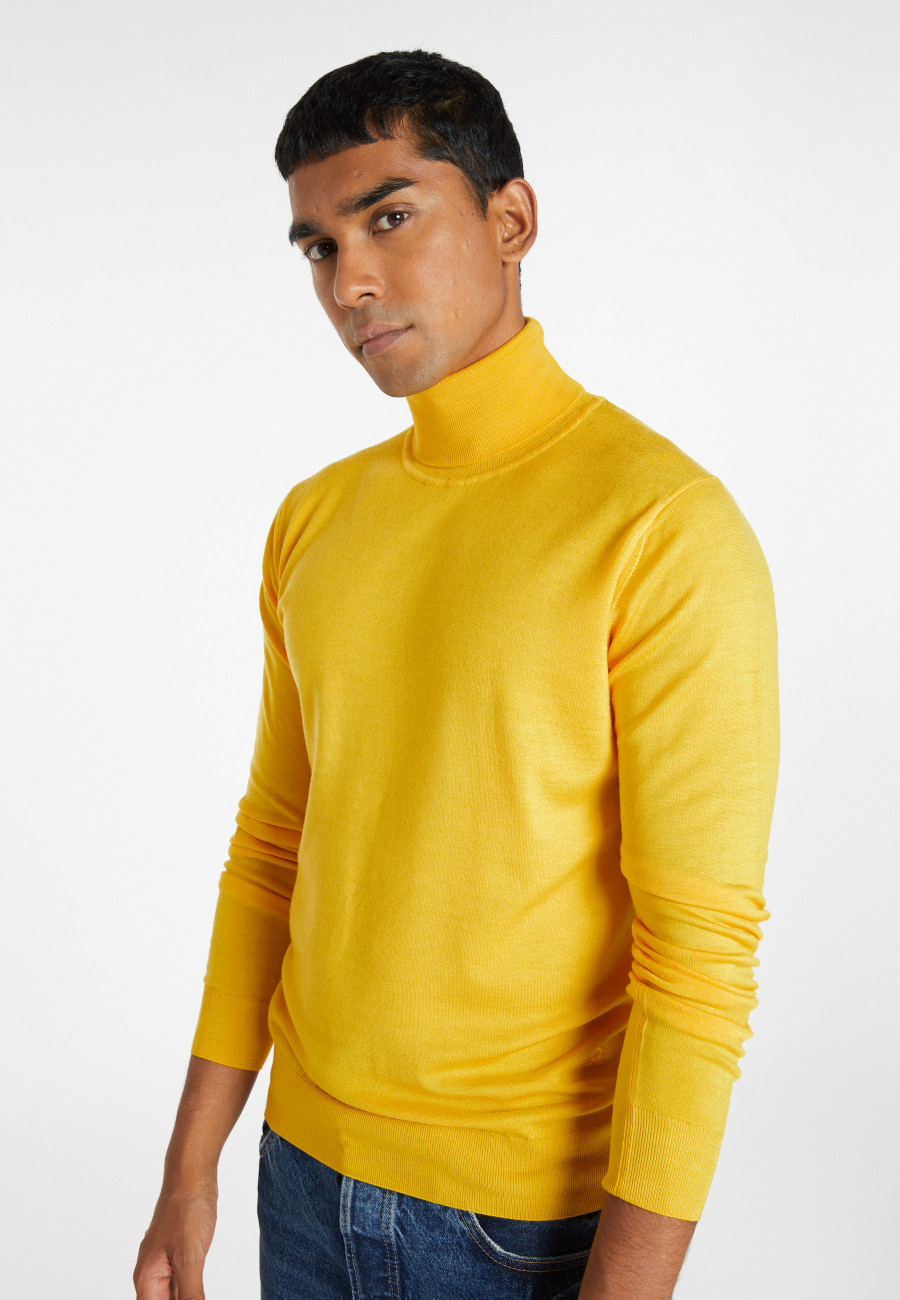 Pull col roulé en laine mérinos - Enzo