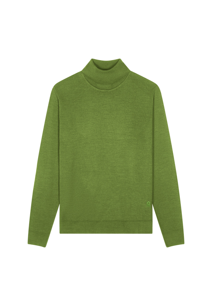 Pull col roulé en laine mérinos - Enzo