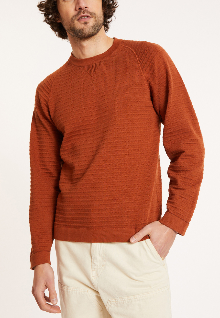 Pull coton manches raglan - Dwight