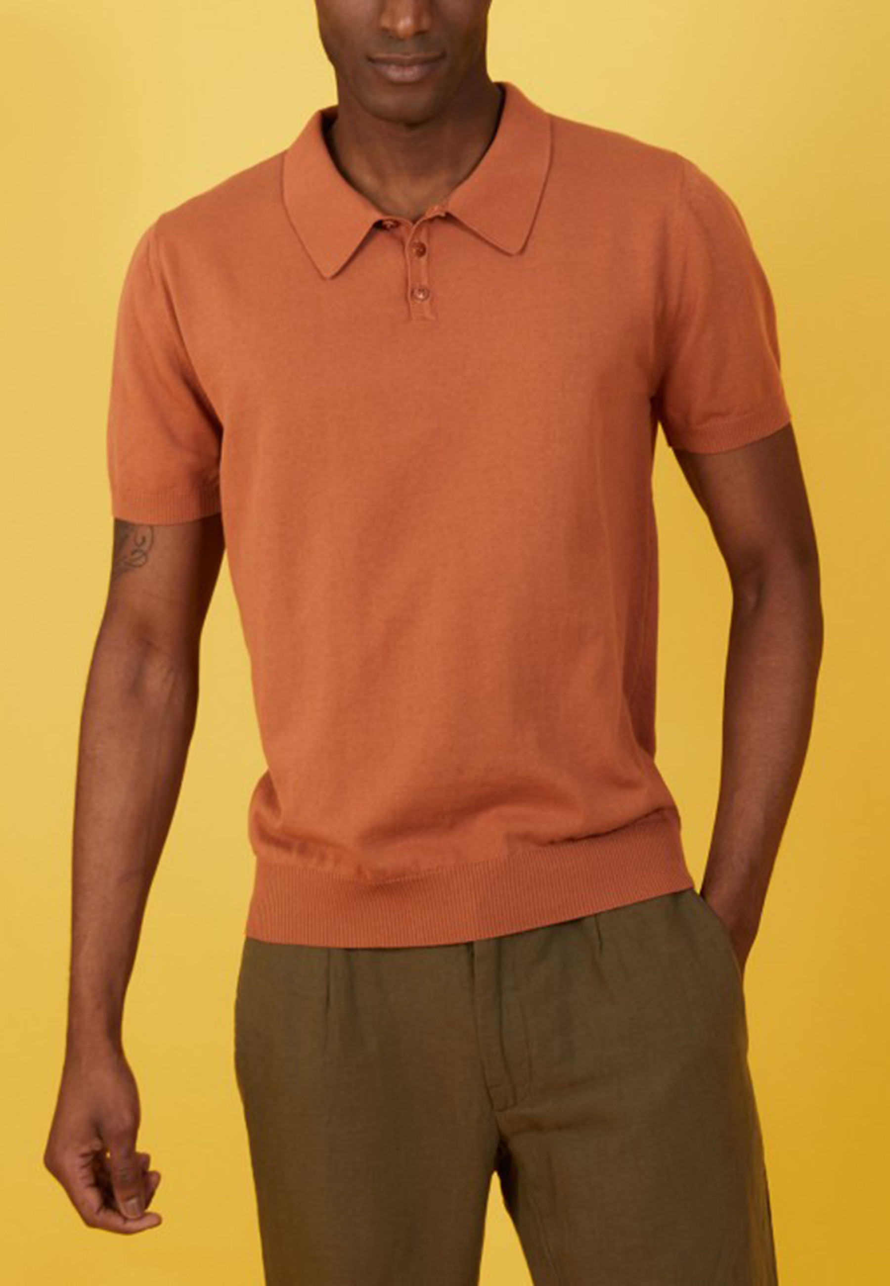 Plain dry cotton polo shirt - Bank
