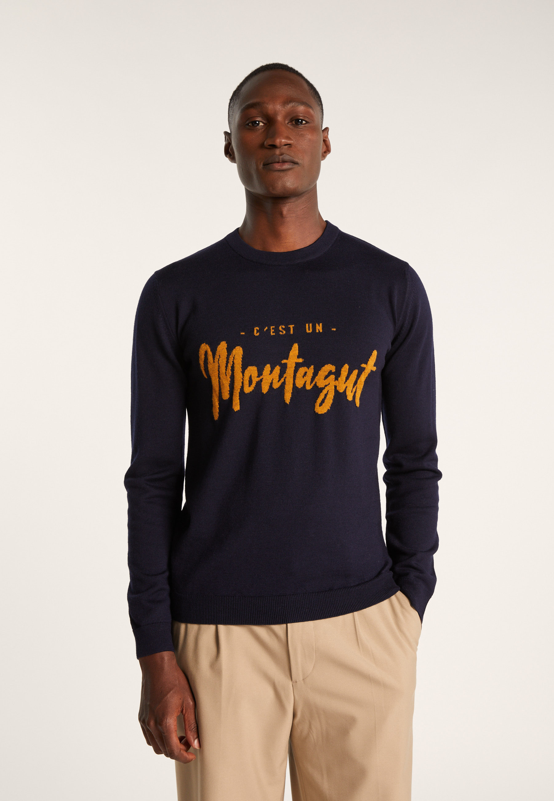 Pull en laine mérinos - Lion