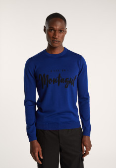 Pull en laine mérinos - Lion