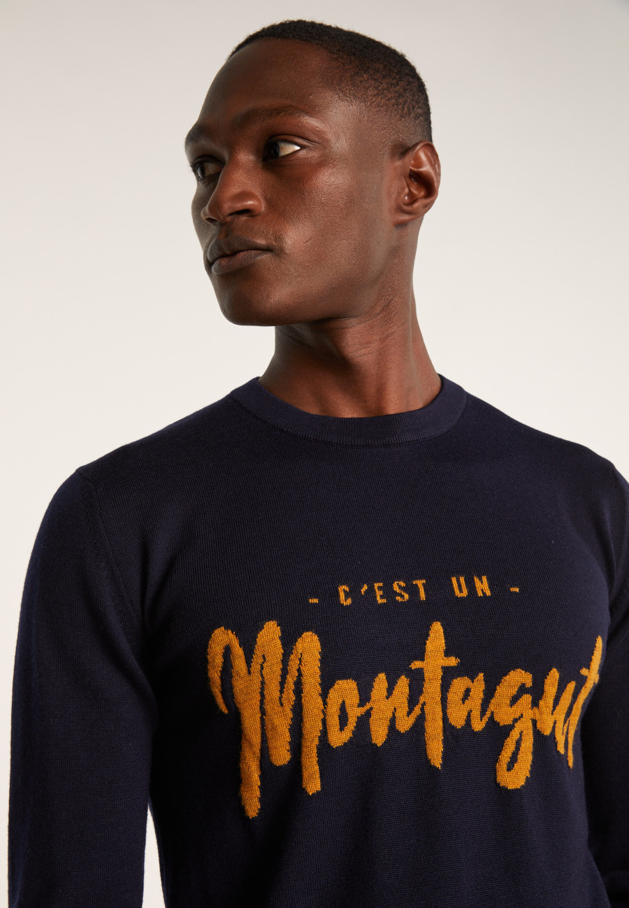 Pull en laine mérinos - Lion