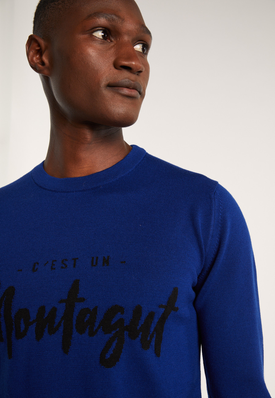 Pull en laine mérinos - Lion