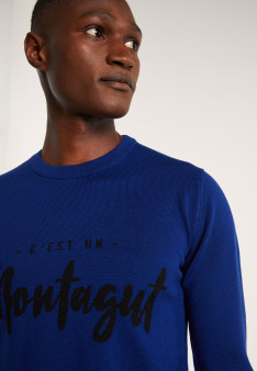 Pull en laine mérinos - Lion