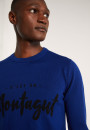 Pull en laine mérinos - Lion