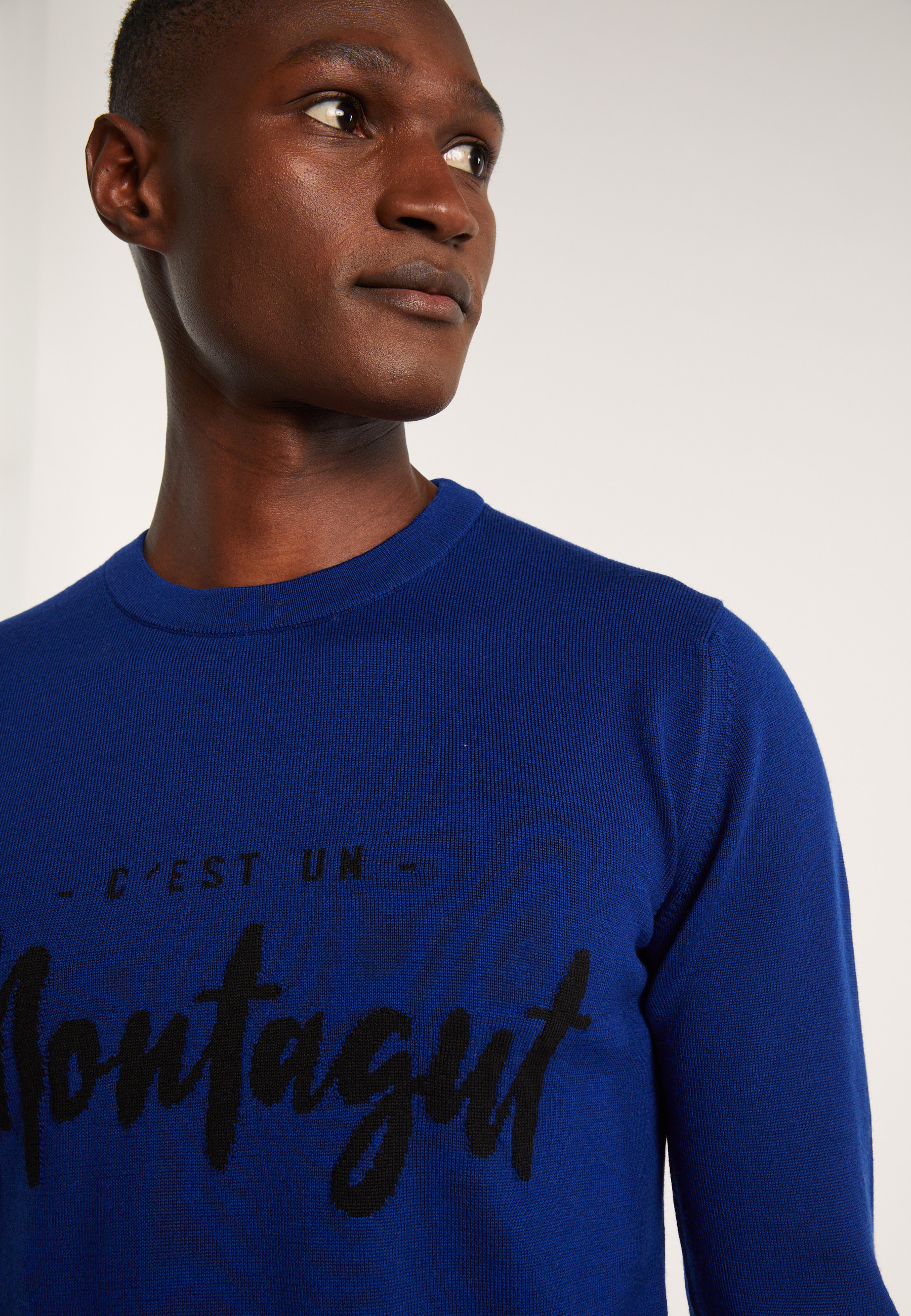 Pull en laine mérinos - Lion