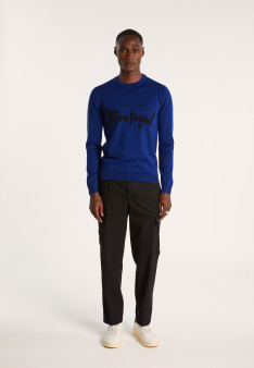 Pull en laine mérinos - Lion