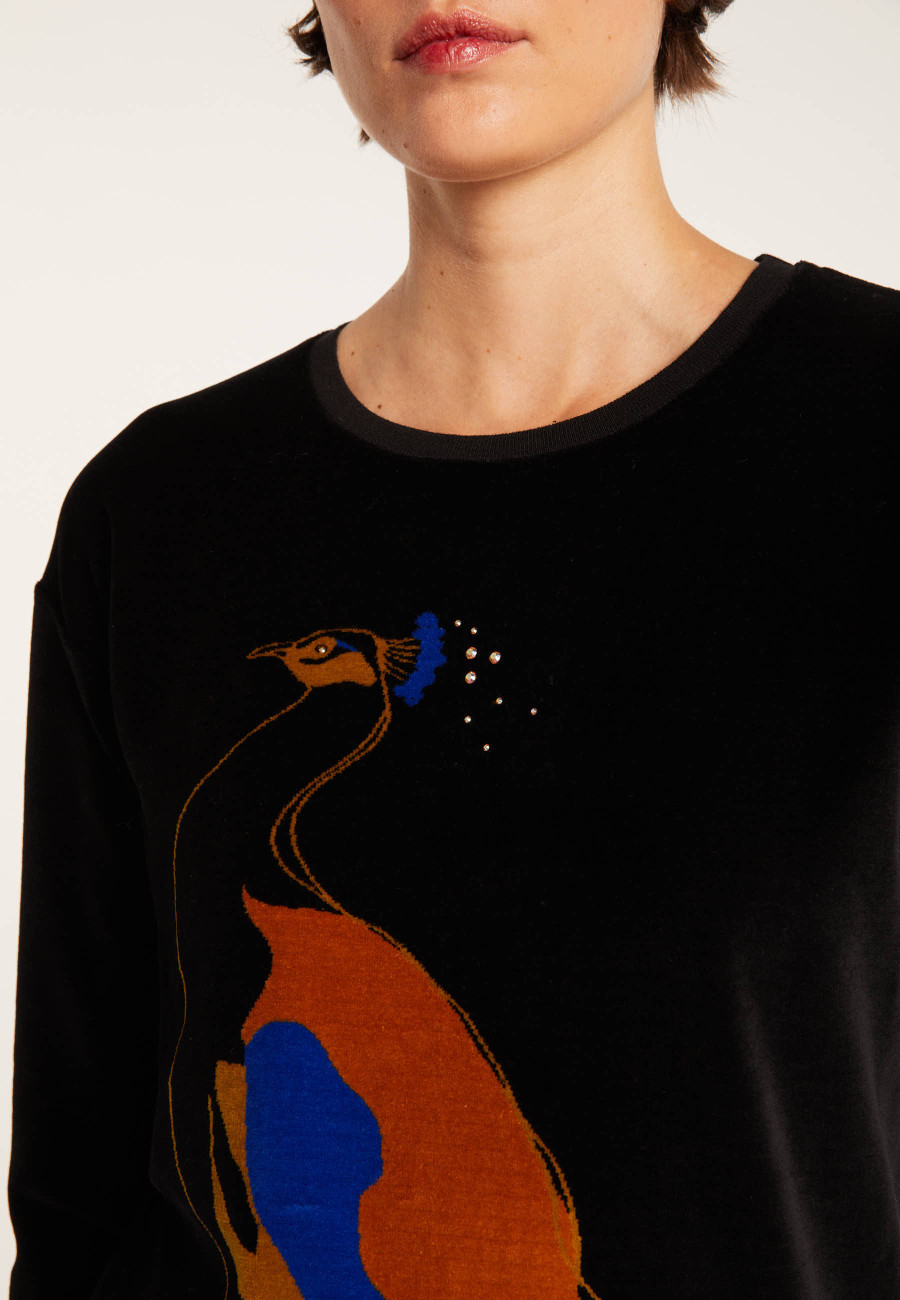 Sweat en velours avec paon - Pavel