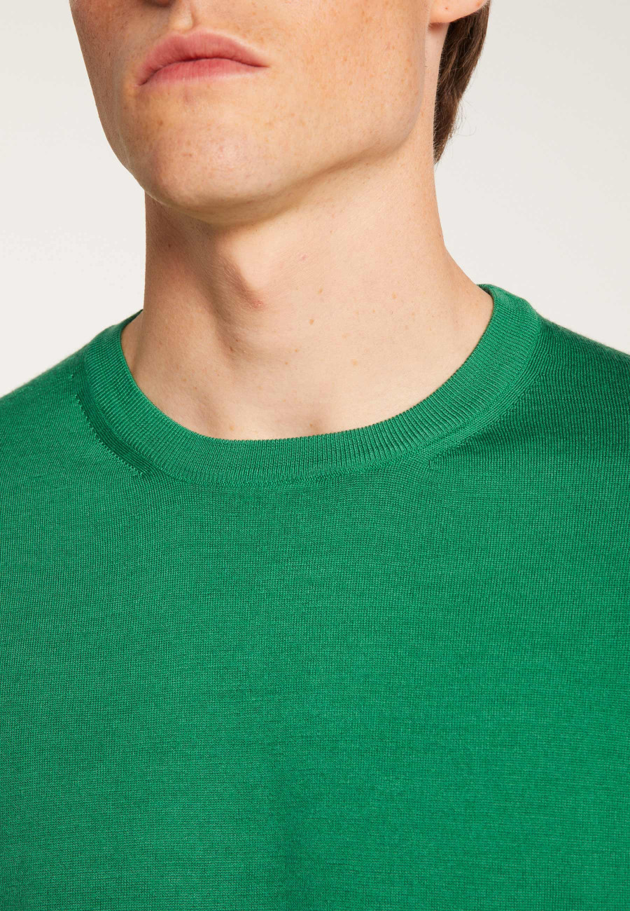 Merino Wool Crewneck Sweater - Eddie