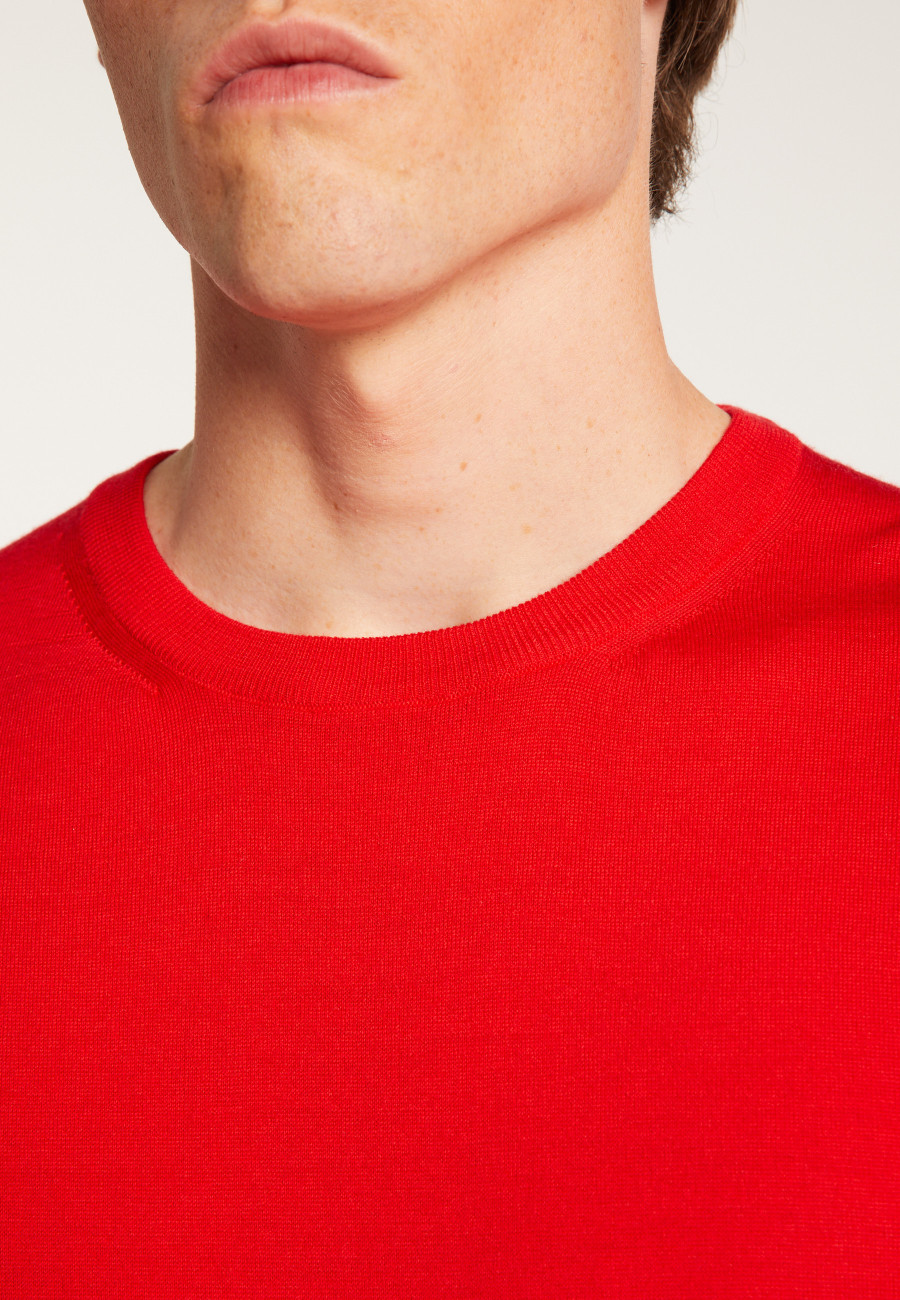 Merino Wool Crewneck Sweater - Eddie