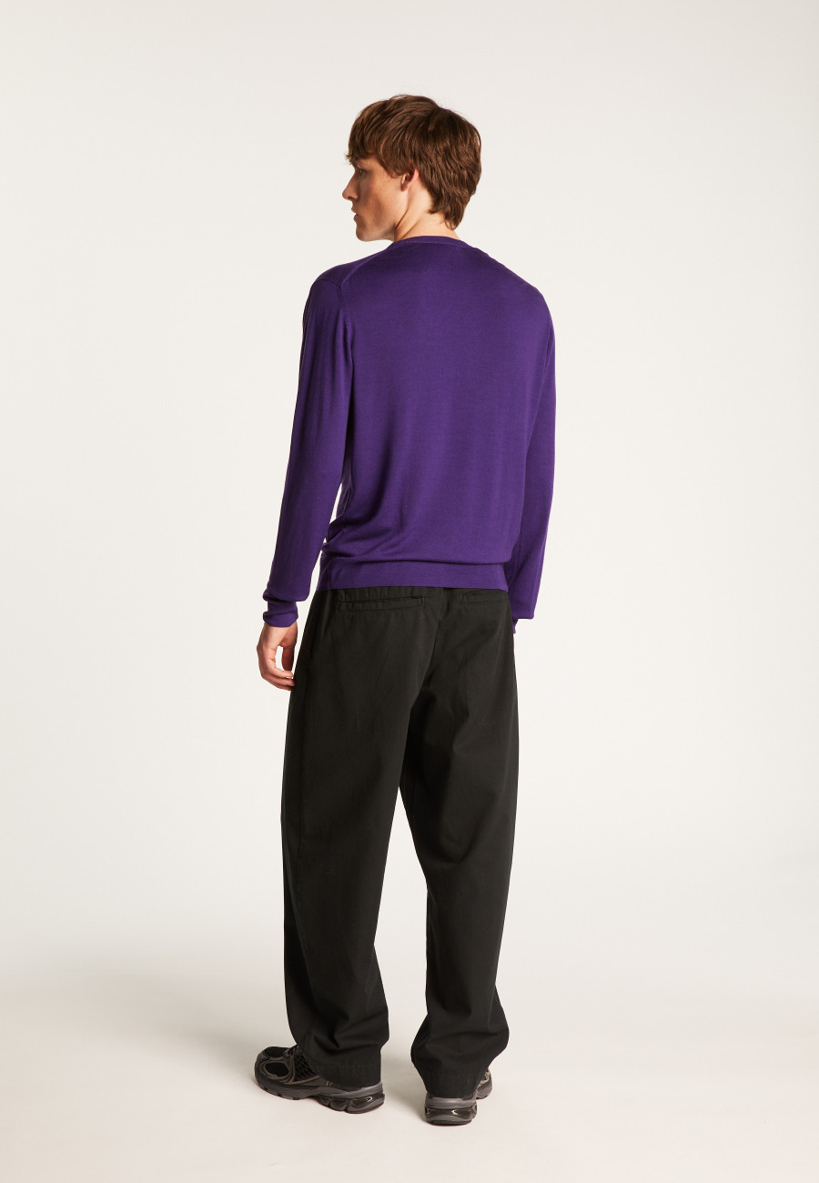Merino Wool Crewneck Sweater - Eddie