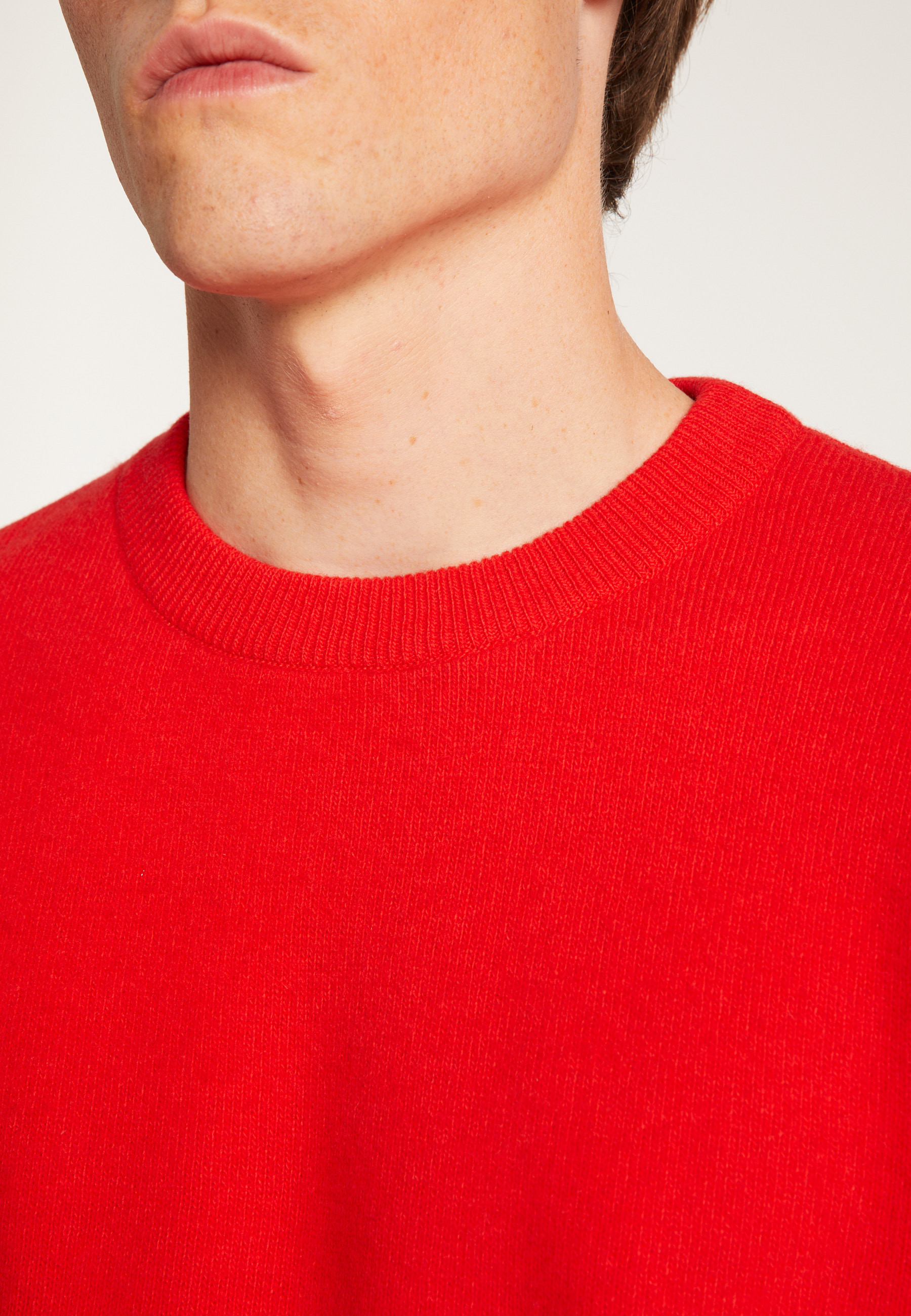 Pull col rond en laine mérinos  - Thomas