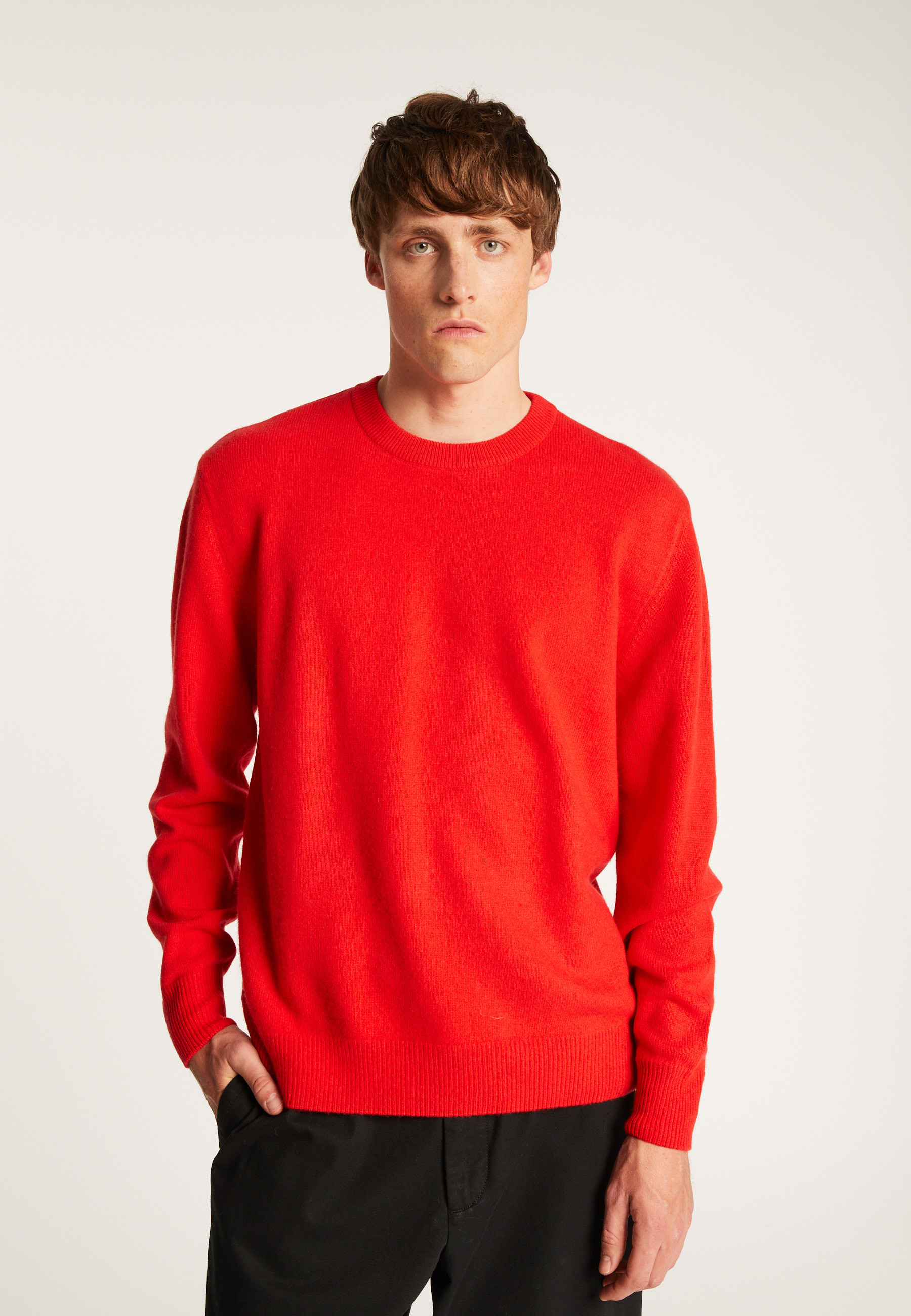 Pull col rond en laine mérinos  - Thomas