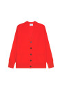 Gilet boutonné en cachemire - Ariel