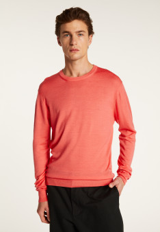 Merino Wool Crew Neck Sweater - Eddie