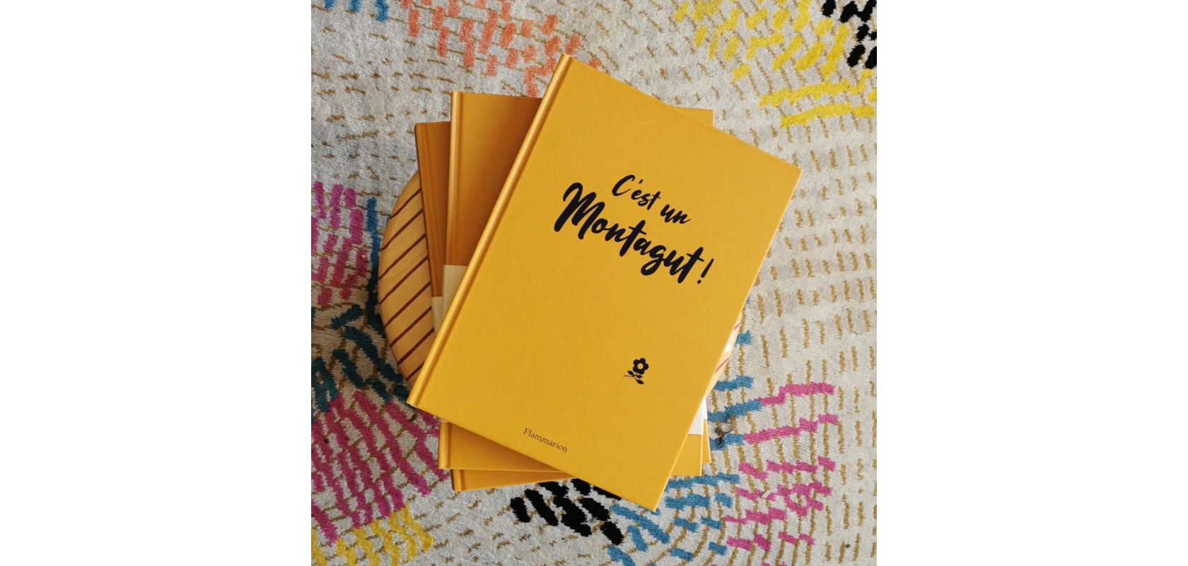 Le livre C'est un Montagut